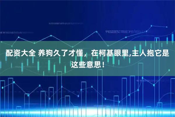 配资大全 养狗久了才懂，在柯基眼里,主人抱它是这些意思！