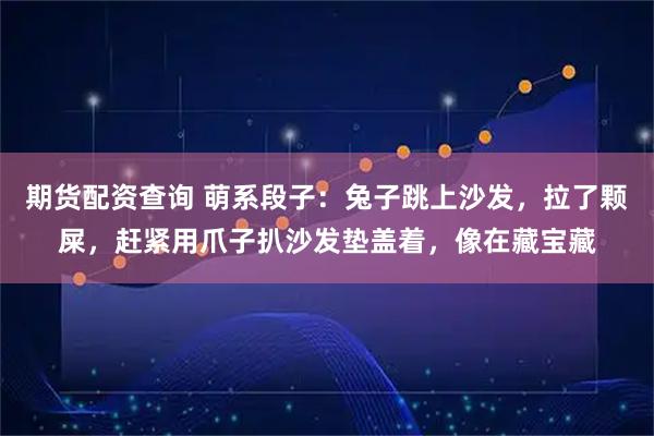期货配资查询 萌系段子：兔子跳上沙发，拉了颗屎，赶紧用爪子扒沙发垫盖着，像在藏宝藏