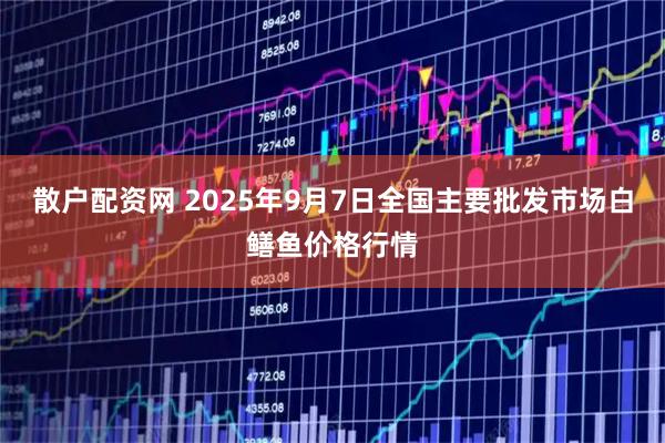 散户配资网 2025年9月7日全国主要批发市场白鳝鱼价格行情