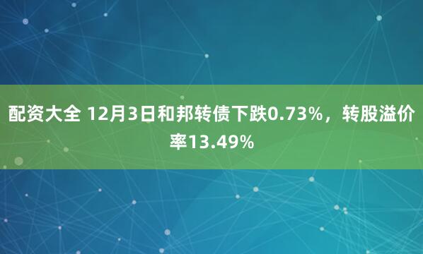 配资大全 12月3日和邦转债下跌0.73%，转股溢价率13.49%